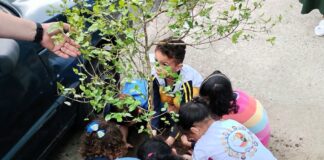 Prefeitura leva programa de educação ambiental para mais de 300 crianças da rede municipal em uma semana