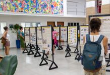 Prefeitura abre inscrições para exposição que reúne professores autores da rede de São Sebastião