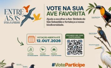São Sebastião inicia escolha da Ave Símbolo durante Festival e amplia valorização da avifauna