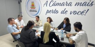 Comissão de Educação busca esclarecimentos sobre atendimento aos alunos da rede municipal