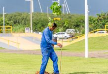 Semam promove plantio de mudas e destaca avanço da arborização no Dia da Árvore em São Sebastião