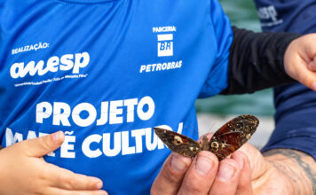 São Sebastião recebe workshop gratuito sobre sustentabilidade e beneficiamento de algas marinhas