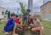 Prefeitura promove plantio de 40 mudas nativas na Costa Sul em parceria com o Instituto Verdescola