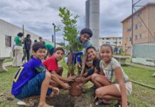 Prefeitura promove plantio de 40 mudas nativas na Costa Sul em parceria com o Instituto Verdescola