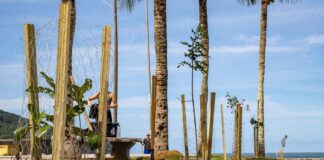 Prefeitura amplia arborização urbana com plantio de mudas durante etapa da WSL 2026 em Maresias