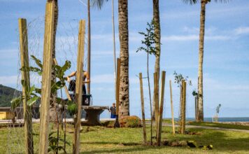 Prefeitura amplia arborização urbana com plantio de mudas durante etapa da WSL 2026 em Maresias