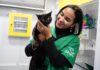 PATA Móvel segue na Costa Norte e oferece atendimento veterinário até 2 de outubro no Canto do Mar