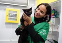 PATA Móvel segue na Costa Norte e oferece atendimento veterinário até 2 de outubro no Canto do Mar