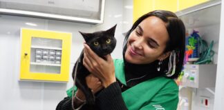 PATA Móvel segue na Costa Norte e oferece atendimento veterinário até 2 de outubro no Canto do Mar