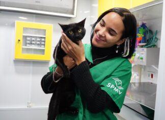 PATA Móvel segue na Costa Norte e oferece atendimento veterinário até 2 de outubro no Canto do Mar