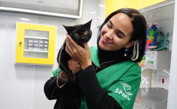 PATA Móvel segue na Costa Norte e oferece atendimento veterinário até 2 de outubro no Canto do Mar