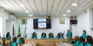 Parlamento Jovem encerra ciclo de 2026 com protagonismo e forte engajamento no plenário da Câmara
