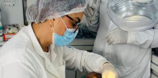 Unidade Odontológica Móvel de São Sebastião leva atendimento em saúde bucal aos usuários da Apae