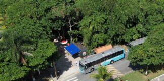 São Sebastião mantém ônibus gratuitos no segundo turno das eleições e reforça atendimento