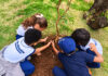 Educação ambiental mobiliza alunos de seis escolas municipais em ação de plantio em São Sebastião