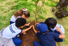 Educação ambiental mobiliza alunos de seis escolas municipais em ação de plantio em São Sebastião