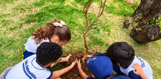 Educação ambiental mobiliza alunos de seis escolas municipais em ação de plantio em São Sebastião