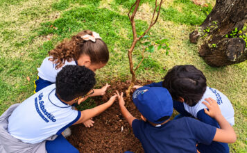 Educação ambiental mobiliza alunos de seis escolas municipais em ação de plantio em São Sebastião