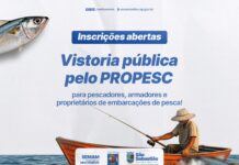 Governo federal abre solicitações para vistoria pública de embarcações de pesca até 30 de novembro