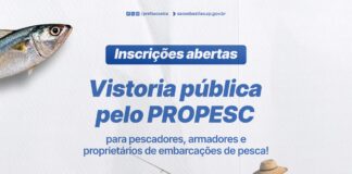 Governo federal abre solicitações para vistoria pública de embarcações de pesca até 30 de novembro