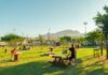 São Sebastião realiza primeira edição do Piquenique Musical no Complexo Turístico da Rua da Praia