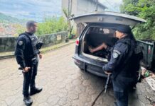 GCM de São Sebastião atua em ação conjunta e captura dois suspeitos de roubo ao Posto Kajiya